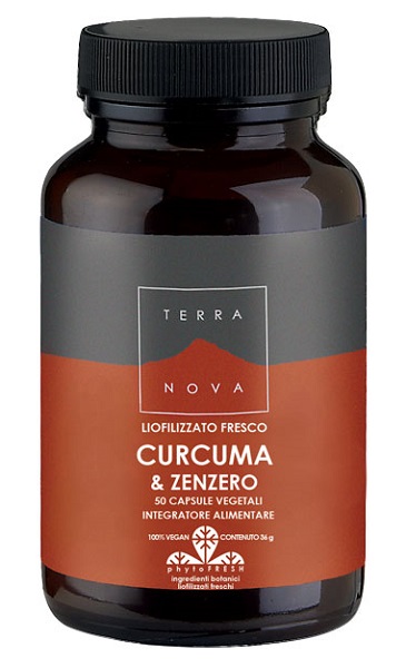 TERRANOVA CURCUMA 400MG/ZENZERO 200MG 50 CAPSULE - dottorbianchi.it