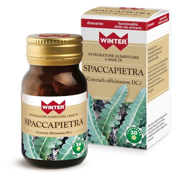 SPACCAPIETRA 30 COMPRESSE WINTER - dottorbianchi.it