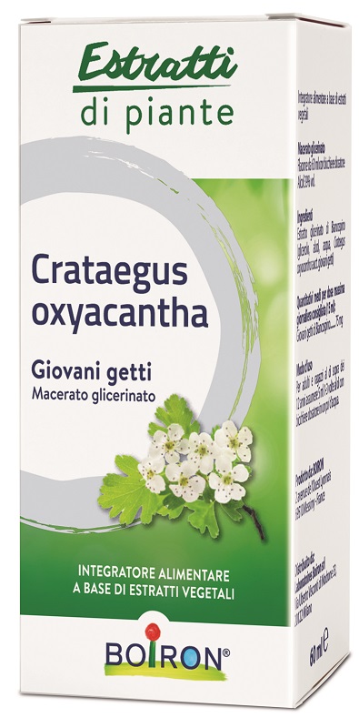 CRATAEGUS OXYACANTHA MACERATO GLICERICO 60 ML INT - dottorbianchi.it