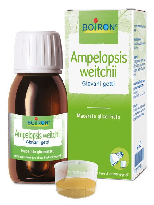 AMPELOPSIS WEITCHII MACERATO GLICERICO 60 ML INT - dottorbianchi.it