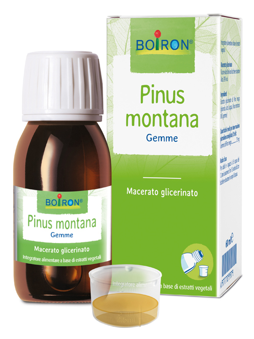 PINUS MONTANA MACERATO GLICERICO 60 ML INT - dottorbianchi.it