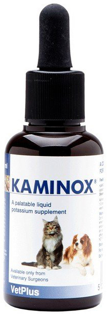 KAMINOX SCIROPPO 60 ML - dottorbianchi.it