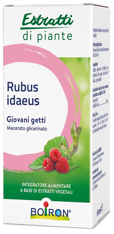 RUBUS IDAEUS GIOVANI GETTI ESTRATTO IDROALCOLICO 60 ML - dottorbianchi.it