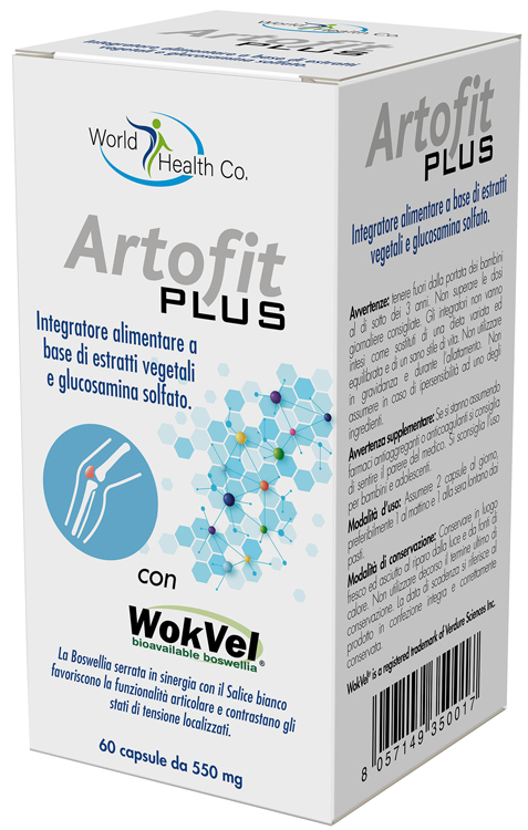 ARTOFIT PLUS 60 CAPSULE - dottorbianchi.it