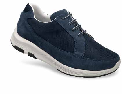 DARWIN NAVY 43 - dottorbianchi.it