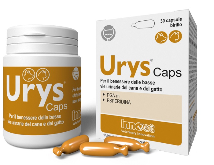 URYS CAPS 30 CAPSULE - dottorbianchi.it