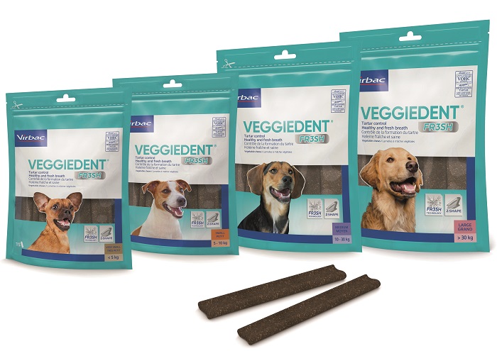 VEGGIEDENT FR3SH M 15 STICK - dottorbianchi.it