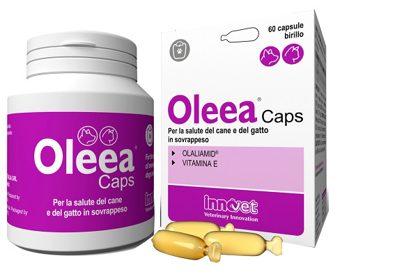 OLEEA CAPS 60 CAPSULE - dottorbianchi.it